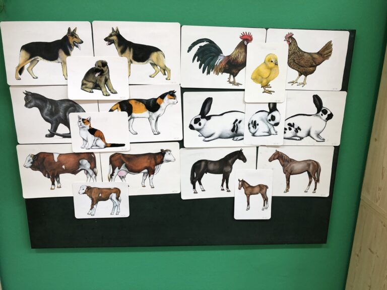 Týden zvířátek na farmě