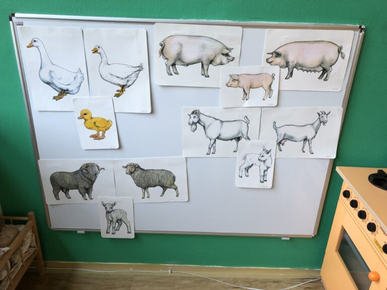 Týden zvířátek na farmě