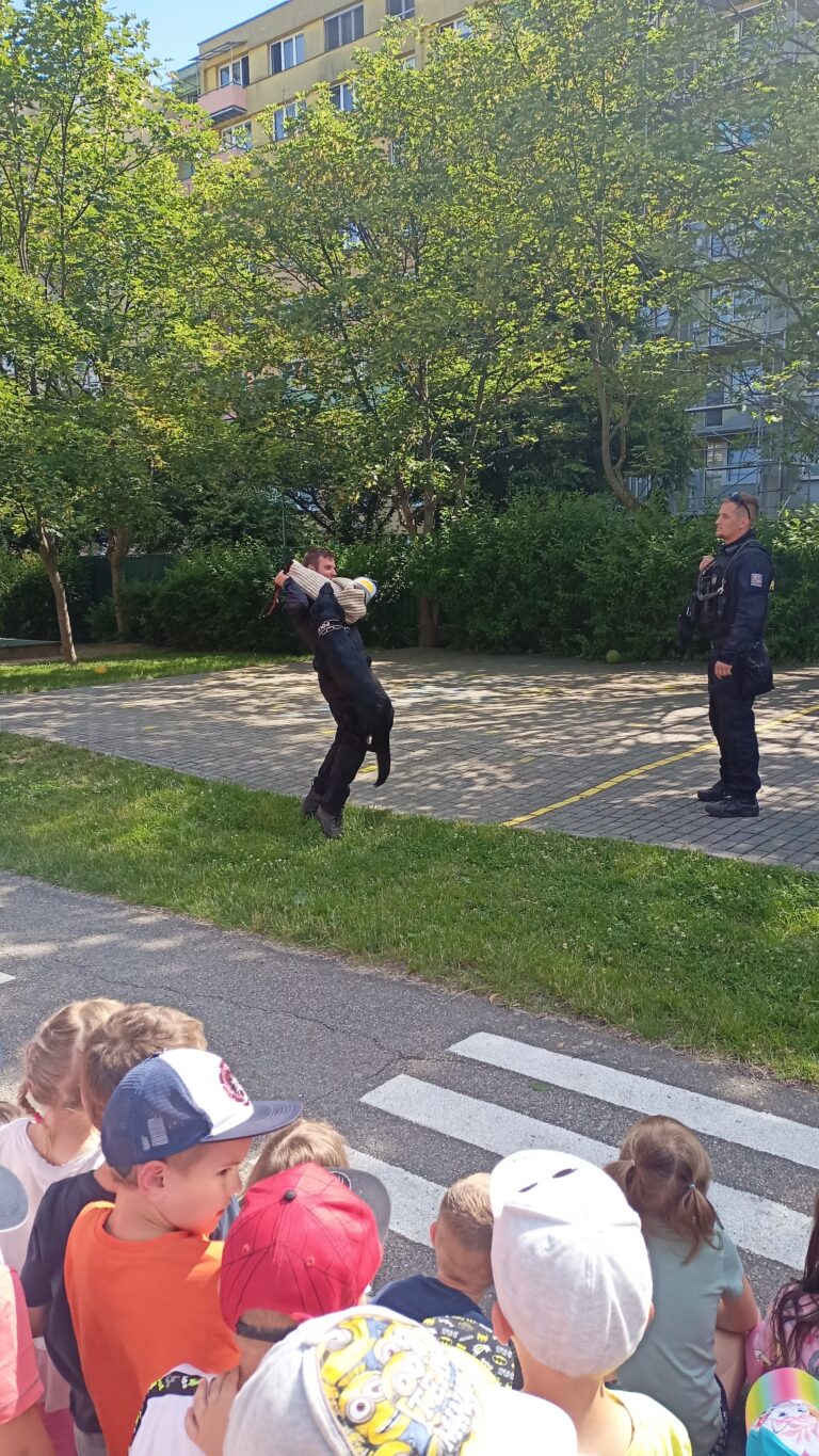 Fotografie 13 – Policie navštívila školku