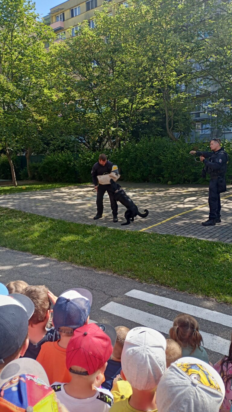Fotografie 12 – Policie navštívila školku