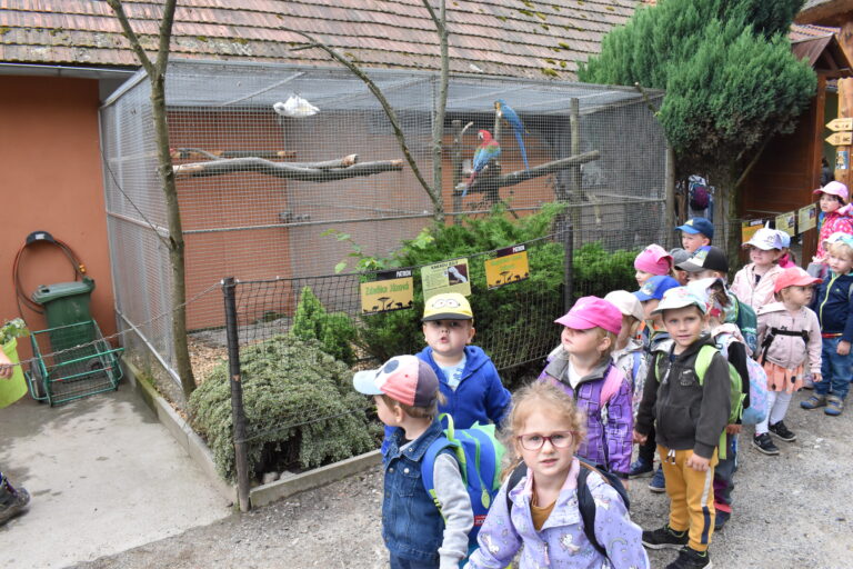 Výlet zoo Dvorec