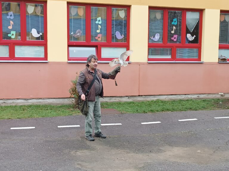Dravci