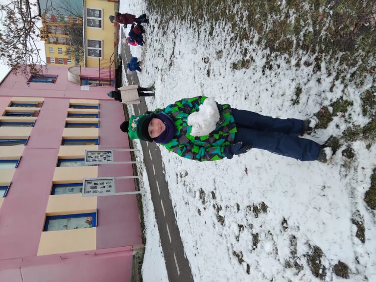 Sníh