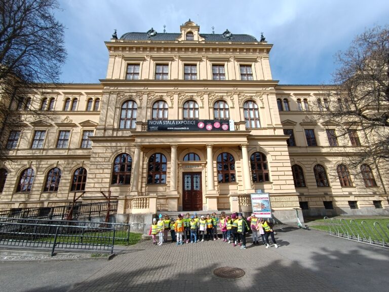 Muzeum