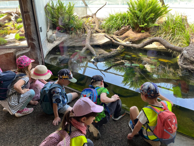ZOO